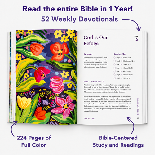 A Beautiful Year in the Bible: The 52-Week Bible Study for Women