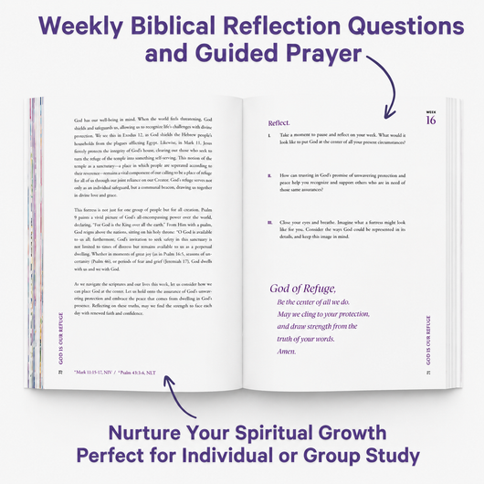 A Beautiful Year in the Bible: The 52-Week Bible Study for Women